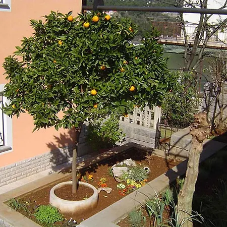 In 51833 Apartment Rabac